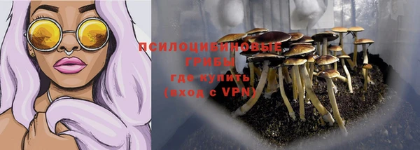 твердый Инсар