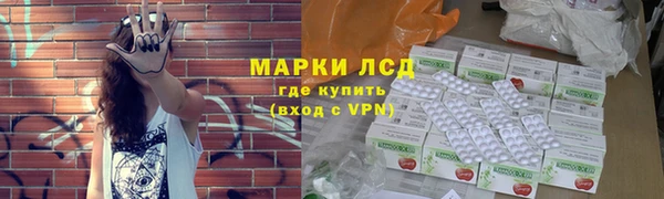 твердый Инсар