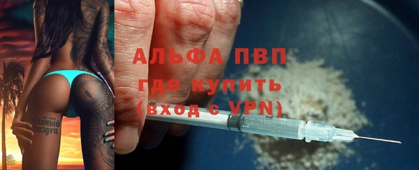 твердый Инсар
