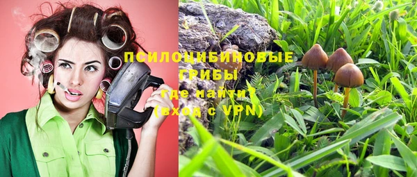 твердый Инсар