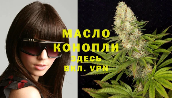 твердый Инсар