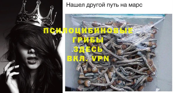 молекула духа Иннополис