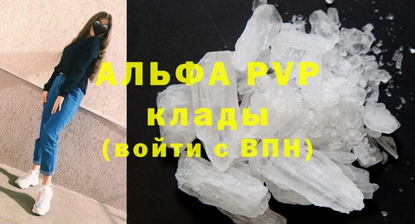 молекула духа Иннополис