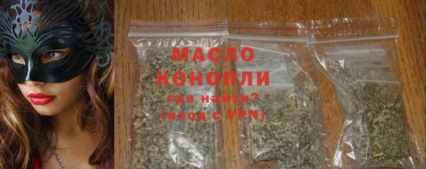 твердый Инсар