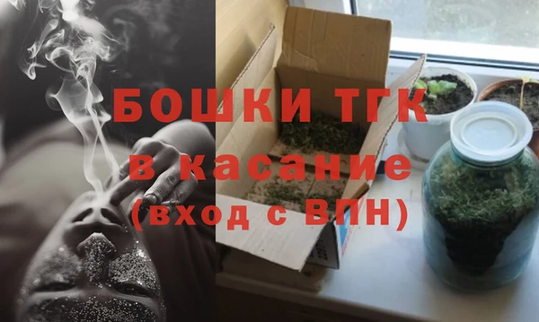 твердый Инсар