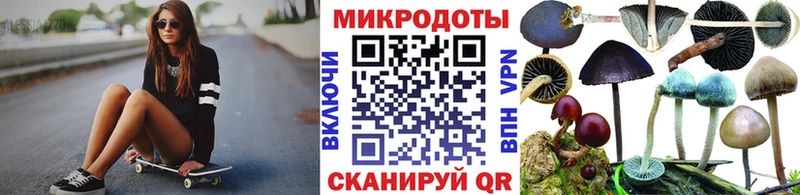 OMG зеркало  Щёлково  Галлюциногенные грибы MAGIC MUSHROOMS 